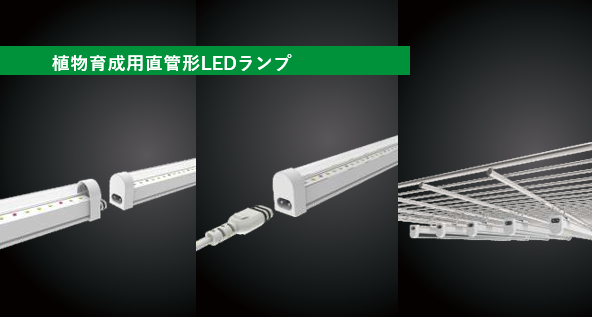 植物育成⽤直管形LEDランプ
